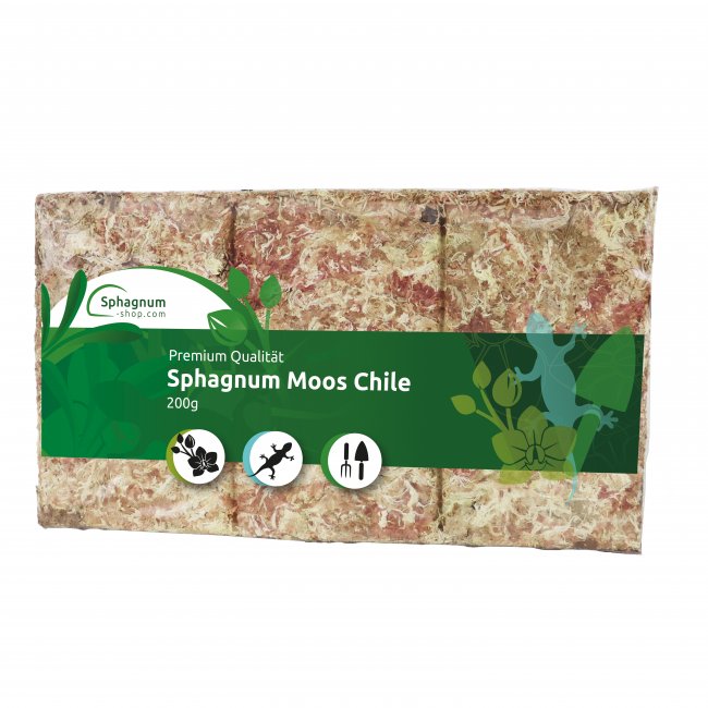 Sphagnum Moos aus Chile Ziegel 200g